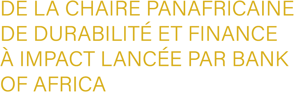 de la Chaire Panafricaine de Durabilit et Finance   Impact lanc e par BANK OF AFRICA
